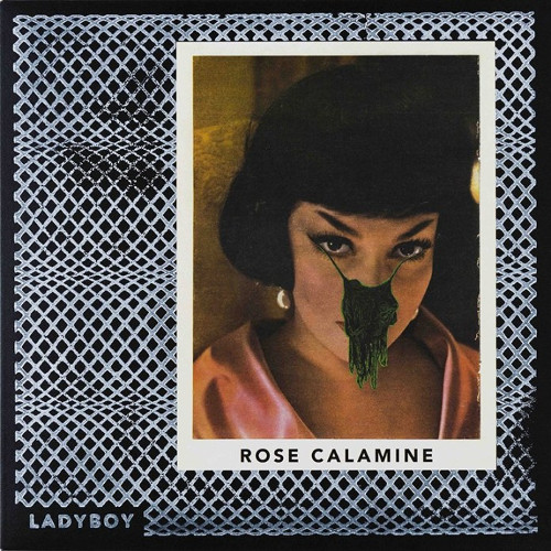 Lady Boy “Rose Calamine”