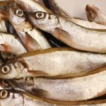 Cara Memilih Ikan Segar di Pasar: 7 Cek Cepat, Anti Tipu