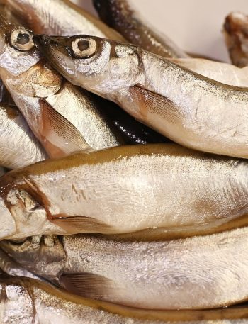 Cara Memilih Ikan Segar di Pasar: 7 Cek Cepat, Anti Tipu