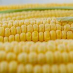 Resep Perkedel Jagung Renyah di Luar, Lembut di Dalam (Tidak