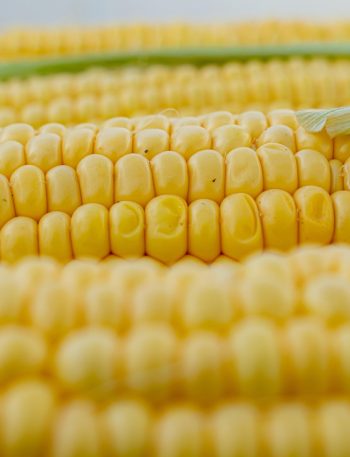 Resep Perkedel Jagung Renyah di Luar, Lembut di Dalam (Tidak