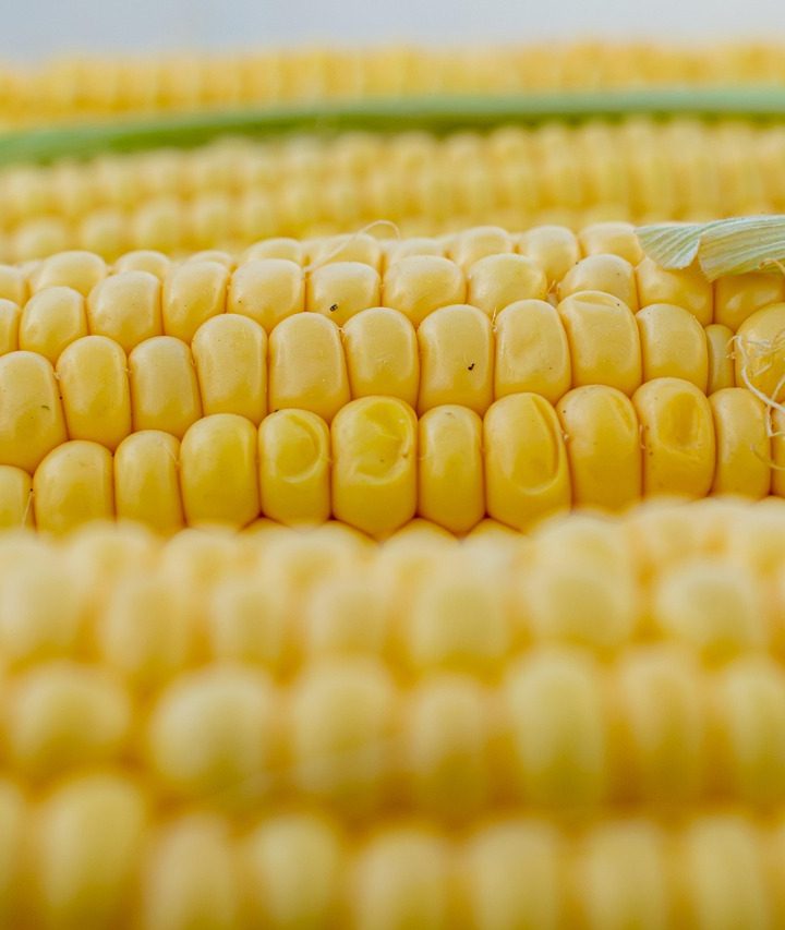 Resep Perkedel Jagung Renyah di Luar, Lembut di Dalam (Tidak